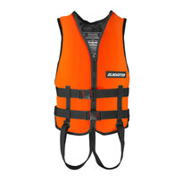 Цвет: Оранжевый